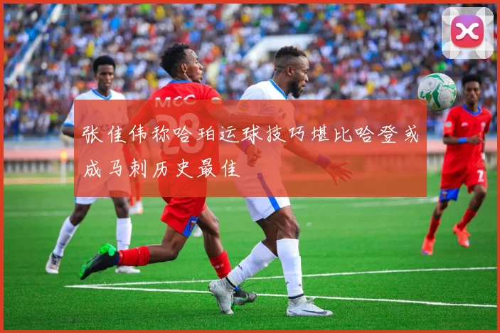 张佳伟称哈珀运球技巧堪比哈登或成马刺历史最佳